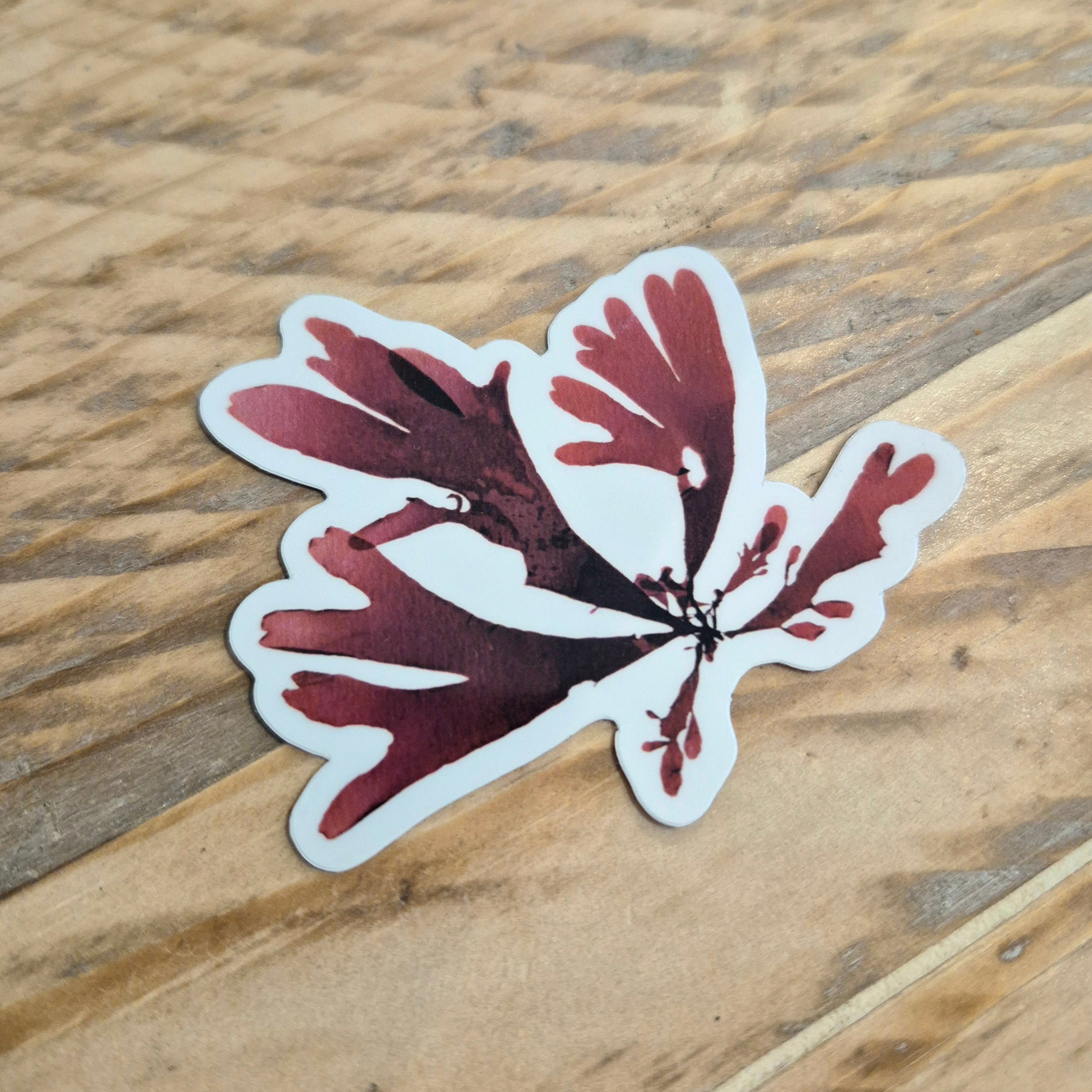 Dulse seaweed sticker