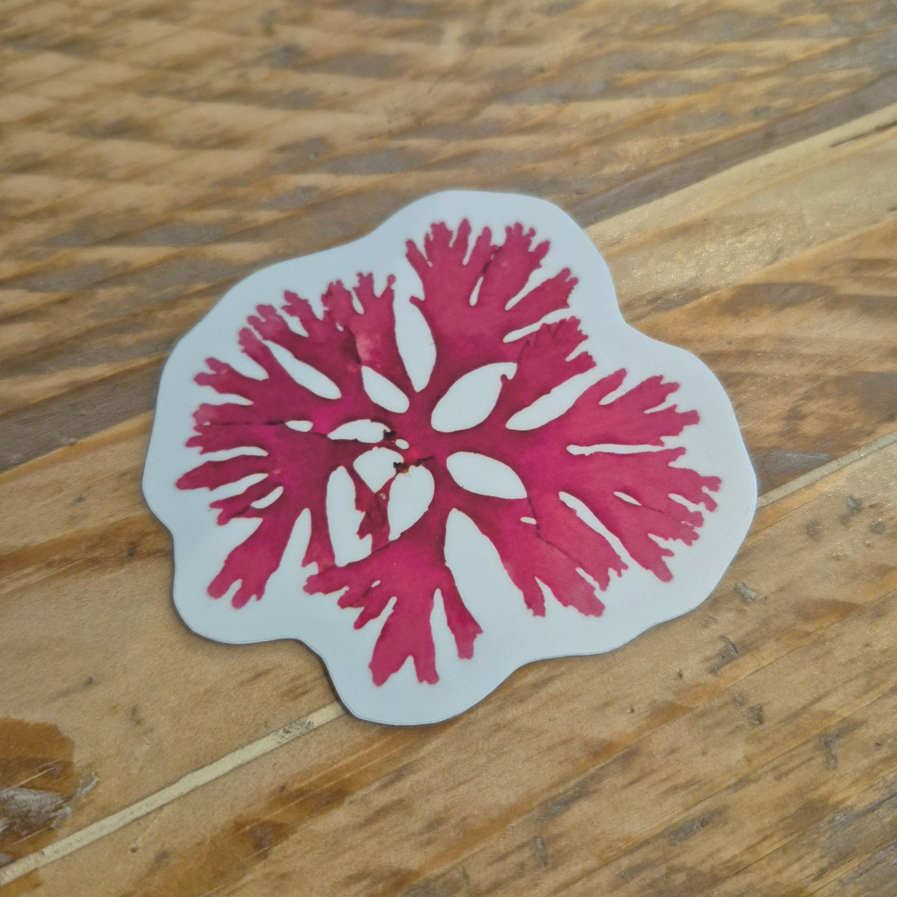 Beautiful Fan Weed seaweed sticker