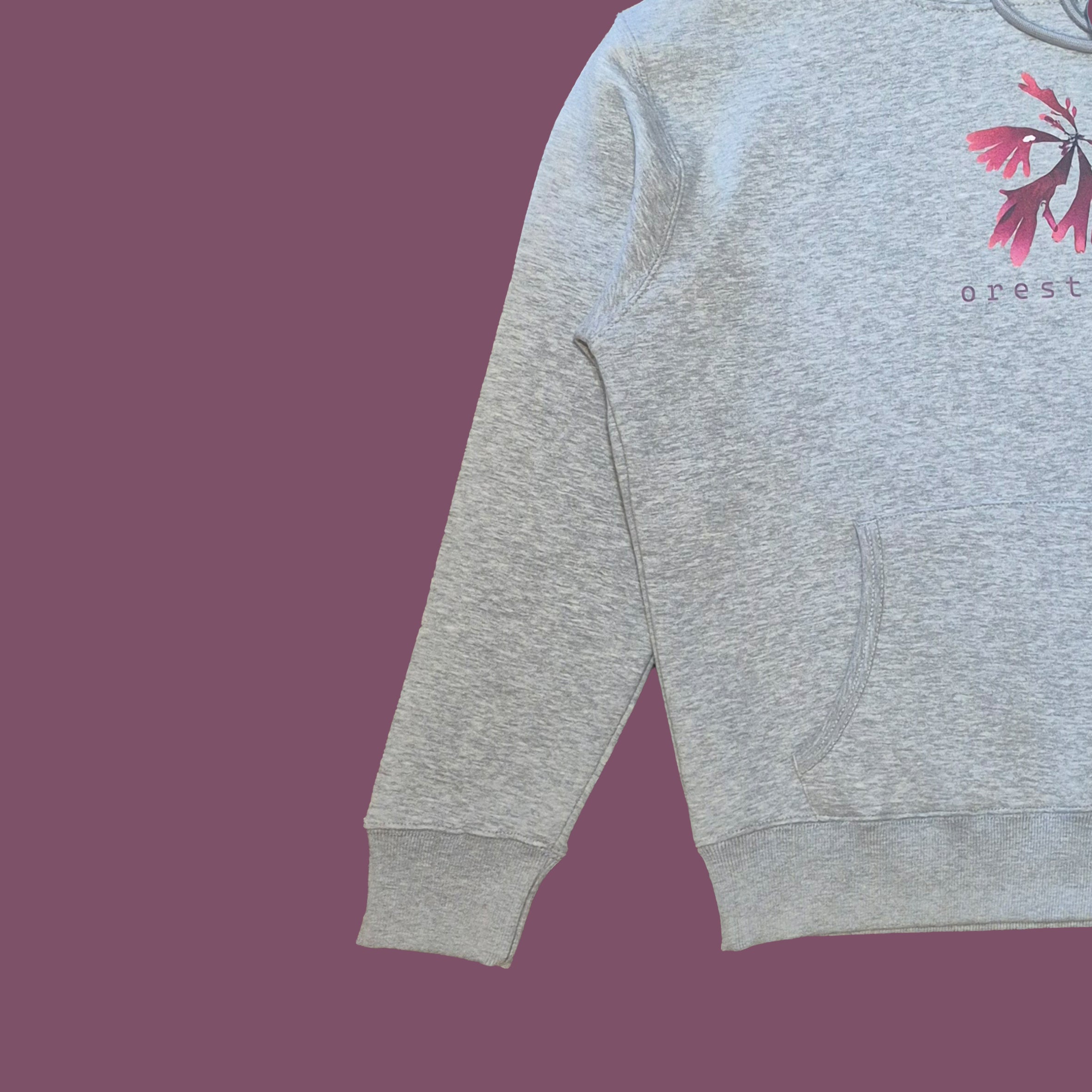 Grey Dulse Jumper ( Hoodie )