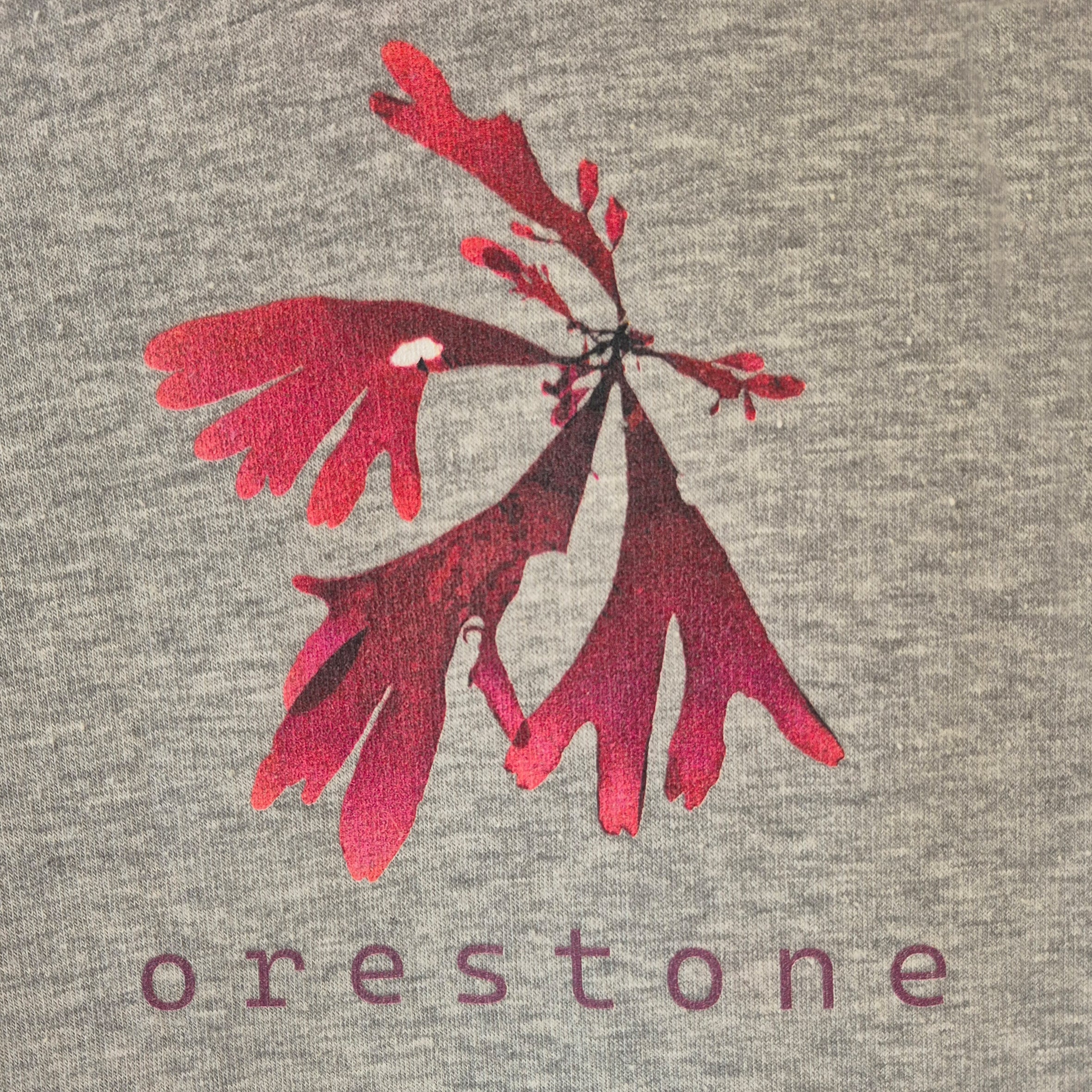 Grey Dulse Jumper ( Hoodie )