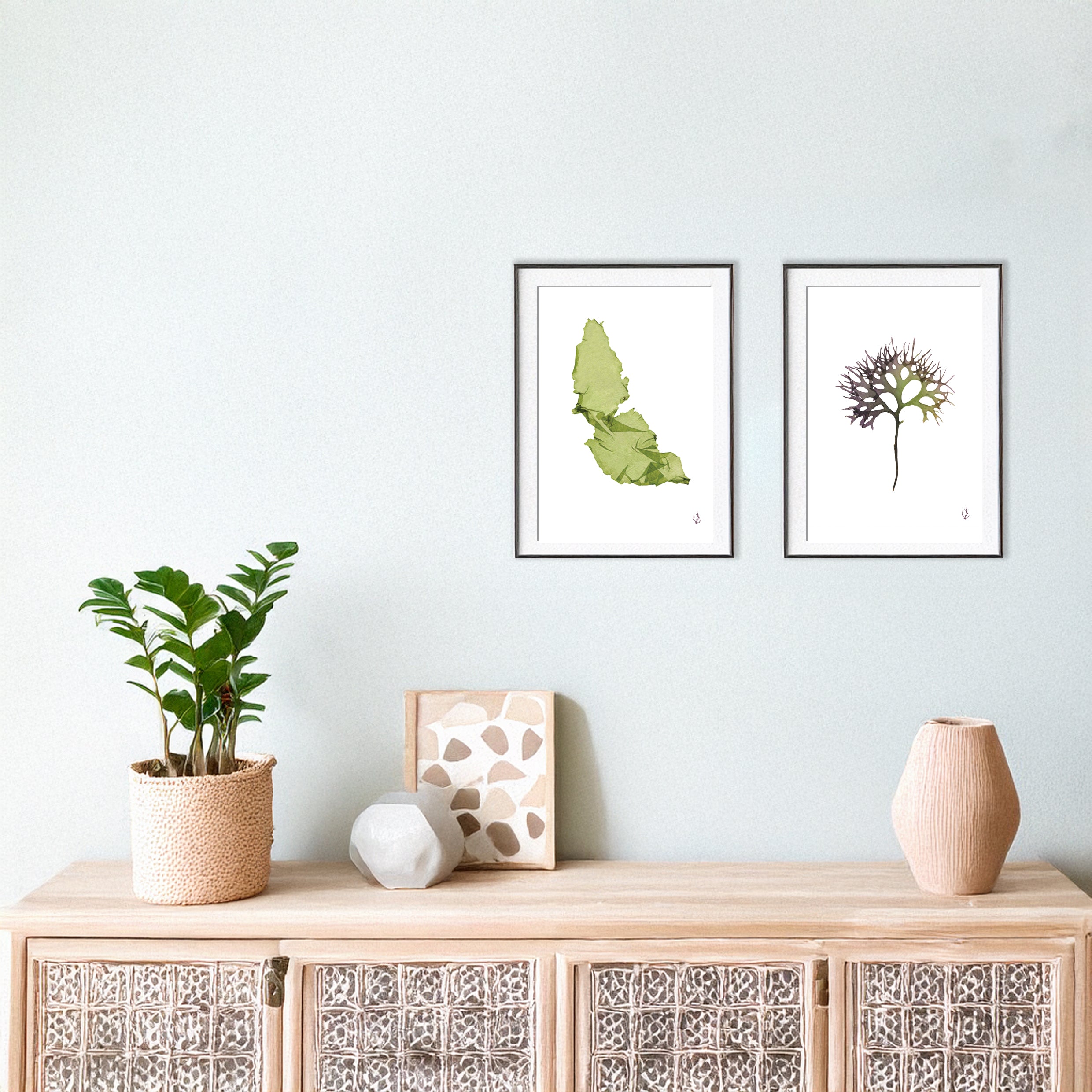 Sea Lettuce Art Print A4