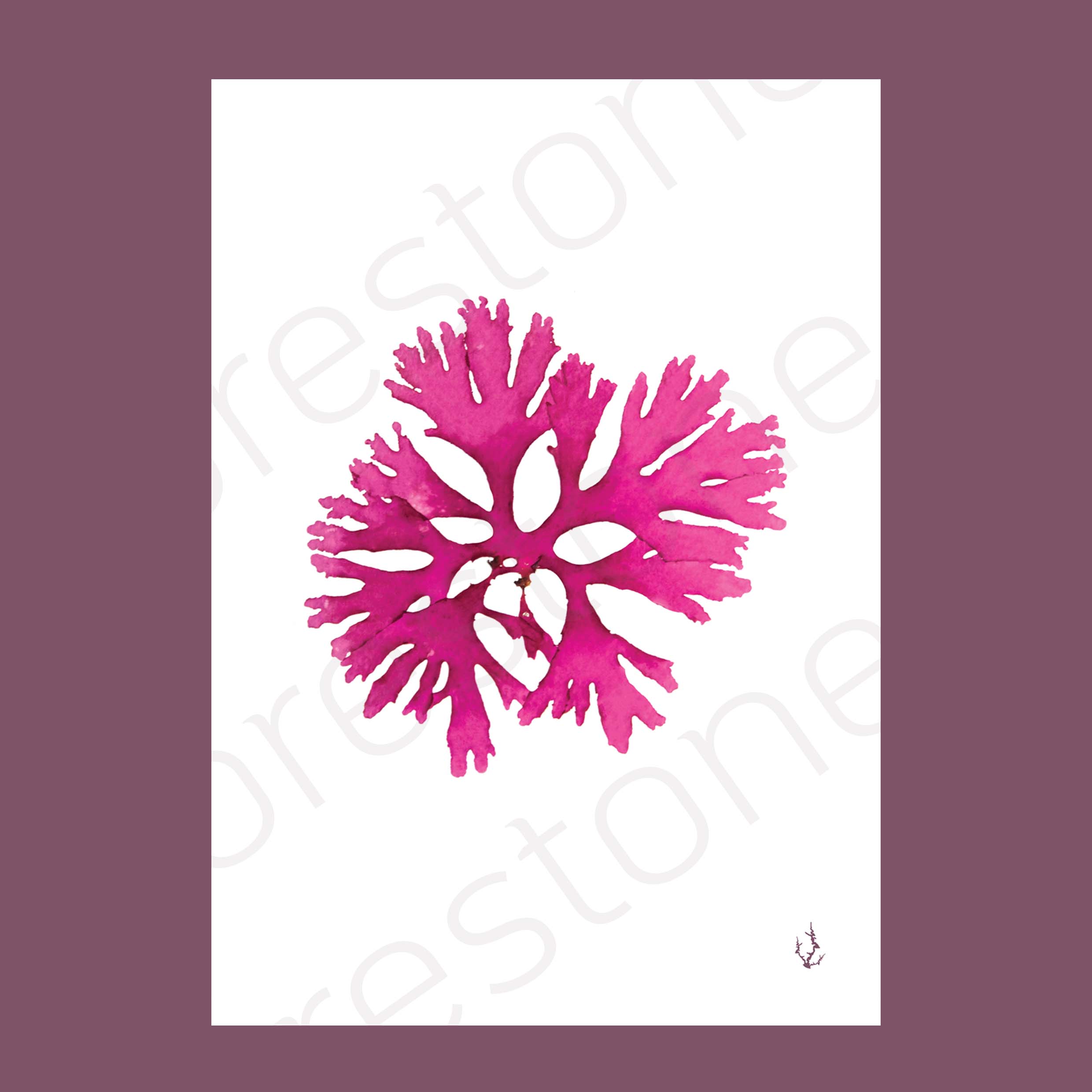 Beautiful Fan Weed Art Print A4