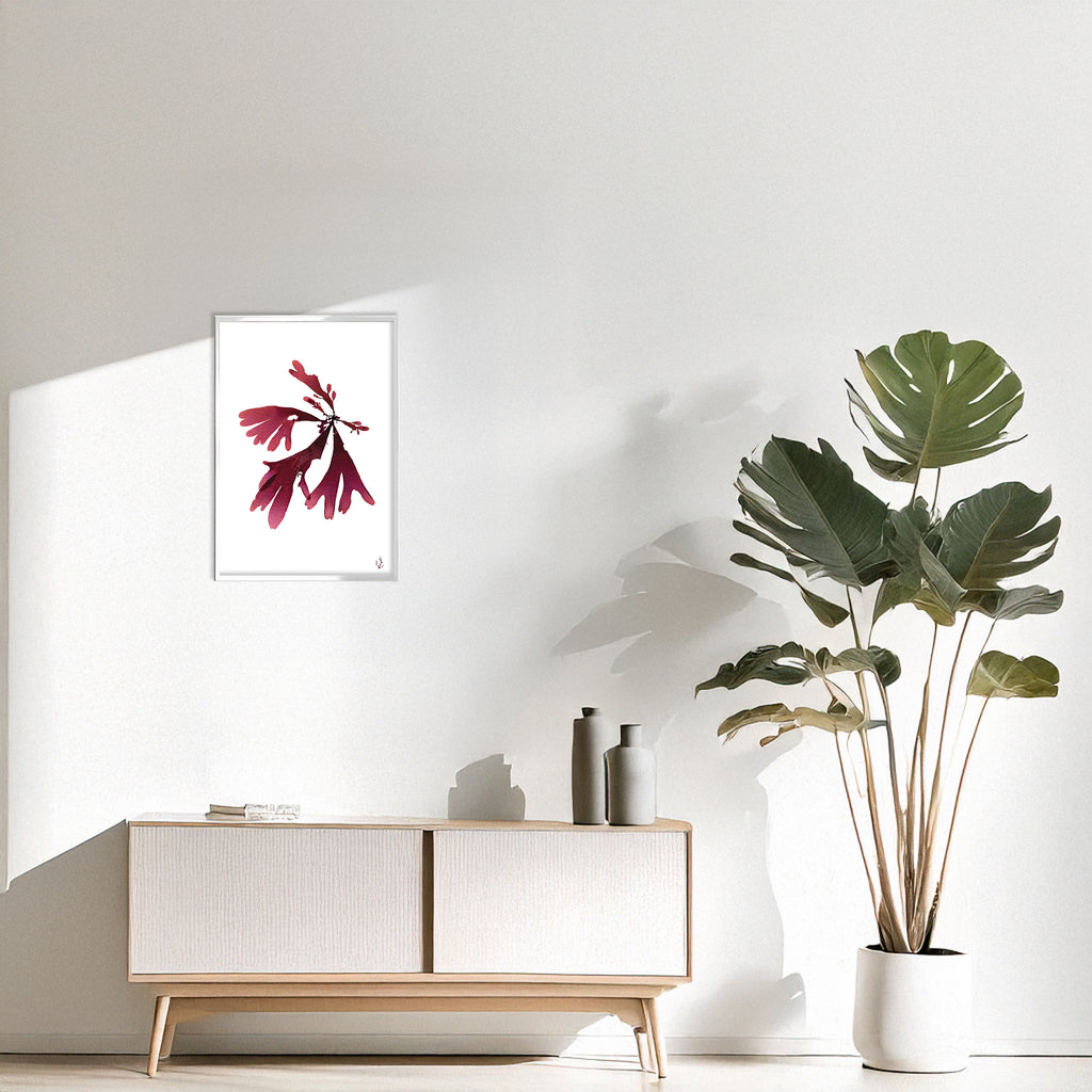 Dulse Art Print A4