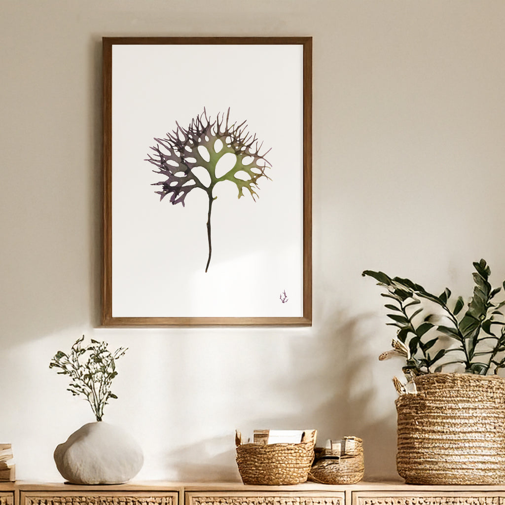 Irish Moss Art Print A4
