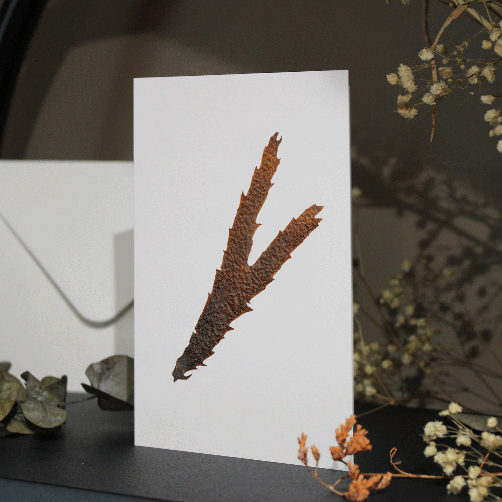 Serrated Wrack Seaweed Greeting Card A6