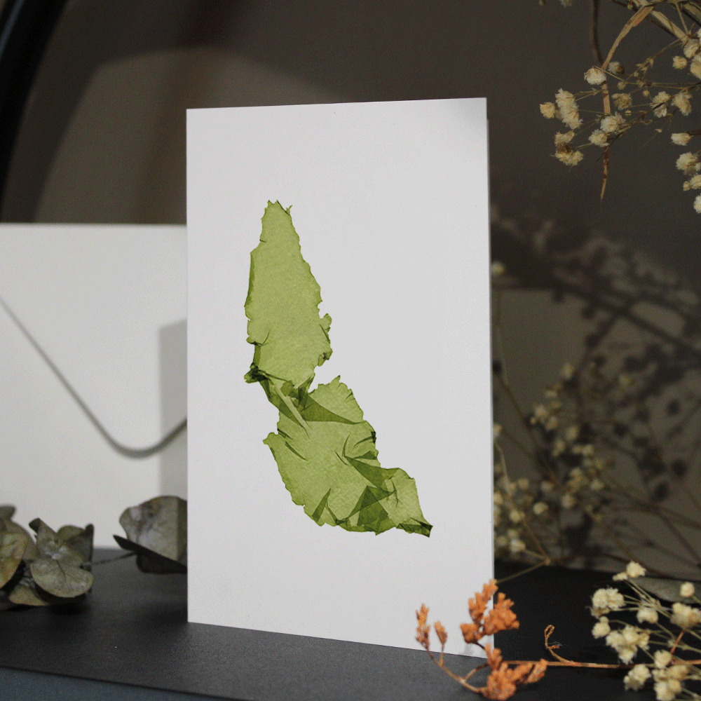 Sea Lettuce Seaweed Greeting Card A6